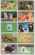 LOT De 50 Télécartes JAPON DIFFERENTES - ANIMAL - CHIEN - DOG DIFFERENT JAPAN Phonecards - 2 - Cani