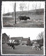Lot 2 Petites Photos Ben Ahin Siroperie 1933 (11 X 6.7 Cm Velox) Voor ZOOM - Huy