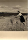 Lot De 2 Photographies Theme Agriculture - Femme Faisant La Moisson - Environs De Paris - Fauche Des Blés - 9x13cm - Profesiones