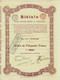 - Titre De 1904 - Biélaïa Société Anonyme Minière Et Industrielle (Donetz)  - N° 75014 - Russland