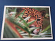 Belize - Jaguar - Old Postcard - 1990s - Belize