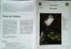 ►   Fiche   Litterature Victor Hugo Bug-Jargal  Portrait Jeune Nègre Rigaud - Learning Cards