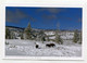 AK 074570 USA - Wyoming - Bisons Im Yellowstone National Park - Yellowstone