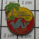 1214d Pin's Pins / Beau Et Rare / THEME : ADMINISTRATIONS / CONSEIL GENERAL DU VAR - Administrations