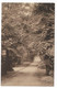 Postcard, Buckinghamshire, Burnham Beeches, Pumpkin's Hill, Road, Footpath, Tree Lined, 1915. - Buckinghamshire