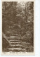 Postcard  Devon Rp The Steps Glen Lyn Lynton Unused - Lynmouth & Lynton