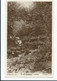 Postcard  Devon Rp At Watersmeet  Lynton Unused Myrtleberry Series - Lynmouth & Lynton