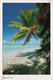 Polynésie Française - Huahine - Plage De Polynésie - Polynesian Beach - Polynésie Française