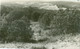 Schoorl 1962; Groeten Uit Schoorl, Panorama - Gelopen. (Rono - Alkmaar) - Schoorl