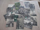 Delcampe - Collection Spécialisée Arbres Trees Parc Forêt Plus De 800 Cpa En Très Grande Majorité Bon état Général Quelques Défauts - 500 Postcards Min.