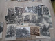 Delcampe - Collection Spécialisée Arbres Trees Parc Forêt Plus De 800 Cpa En Très Grande Majorité Bon état Général Quelques Défauts - 500 Postales Min.