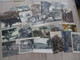 Delcampe - Collection Spécialisée Arbres Trees Parc Forêt Plus De 800 Cpa En Très Grande Majorité Bon état Général Quelques Défauts - 500 Postcards Min.