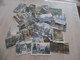 Delcampe - Collection Spécialisée Arbres Trees Parc Forêt Plus De 800 Cpa En Très Grande Majorité Bon état Général Quelques Défauts - 500 Postcards Min.