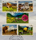 INDIA,2020,NATURAL SITES,MOUNTAIN FLOWER,BEER,MONKEY,TIGER,DEER,BIRD,PLANT FDC. - Lettres & Documents