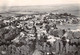 17-ILE D'OLERON- SAINT-GEORGES-D'OLERON- VUE PANORAMIQUE AERIENNE - Ile D'Oléron