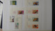 Delcampe - AC386 Collection De Timbres Majorité Oblitérés De Différents Pays Dont France Carnet O Rolland ** Sans Agrafe Centrale - Sammlungen (im Alben)