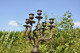 Candelabre En Bronze Et Onyx 5 Branches - Candeleros, Candelabros Y Palmatorias