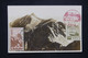 JAPON - Carte Maximum En 1952 - Parc National De Chubu - L 129951 - Maximum Cards