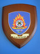 Athens 2004 Olympic Games, Coat Of Arms Of Fire Department Of Greece - Habillement, Souvenirs & Autres