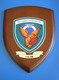 Athens 2004 Olympic Games, Coat Of Arms Of 114 C.W. (Combat Wing) - Apparel, Souvenirs & Other