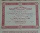 EGYPT-Alexandria Egyptian Shipping Company 1930-100 Actions-V RARE (Egypte) (Egitto) (Ägypten) (Egipto) (Egypten) Africa - Transport