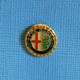1 PIN'S //  ** LOGO / ALFA ROMÉO ** - Alfa Romeo