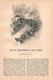 1241-2 Knauer Schaf Schafzucht Merinoschaf Artikel / Bilder 1885 !! - Autres & Non Classés