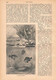 1249-2 Otfried Mylius Fische Nestbau Fisch Fischzucht Artikel / Bilder 1884 !! - Autres & Non Classés
