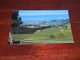 51681-                         KLIMATKURORT HEIDEN, BLICK AUF DEN BODENSEE MIT BREGENZ - Heiden