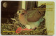 Anguilla  EC$20  69CAGE  " Turtle Dove, The National Bird " - Anguilla