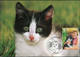 FRANCE 2006 - C.M. LE CHATON Sur Carte "MGE" + T.P. 0,53€ + Obl. P.J. 22.04.2006 PARIS (voir Images) - 2000-2009