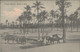 LIBIA / LIBYA - TRIPOLI - LA DOGANA  - EDIT.  ALTEROCCA - MAILED TO ITALY - 1912 (11344) - Libye