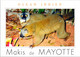 (2 J 5) Mayotte Island / France - Makis De Mayotte - Mayotte