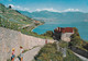 A17146 - Switzerland LE LAVAUX  LE CHATEAU DE GLEROLLES PRES RIVAZ POSTCARD UNUSED - Rivaz