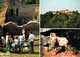 Châteaufort De Logne Repaire Des Sangliers Des Ardennes - Ferrieres