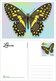 Liberia 2022 Stationery Cards MNH Butterflies Set Of 4 Cards 100% Recycled Paper - Liberia