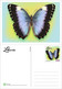 Delcampe - Liberia 2022 Stationery Cards MNH Butterflies Set Of 4 Cards 100% Recycled Paper - Liberia