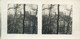 Lot 8 Stereographic Photographs Bittischka Czech Republic Bítýška - Visionneuses Stéréoscopiques