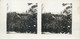 Delcampe - Lot 8 Stereographic Photographs Bittischka Czech Republic Bítýška - Visionneuses Stéréoscopiques