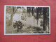 RPPC. Silver. River.  Silver Springs   Florida   Ref 5736 - Silver Springs