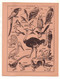Protège-cahiers Semelles, Talons, Chaussures Morvan Avec Oiseaux Au Verso - Format : 24x18 cm - Protège-cahiers