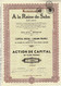 Nouveau Titre - A La Reine De Saba - Société Anonyme -  Titre N° 254 - Toerisme