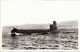 Bateau - Sous Marin  REQUIN - - Submarinos