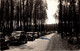 17 - MONTENDRE LES PINS / L'ALLEE CONDUISANT AU LAC BARON DESQUEYROUX - AUTOS 1950 - Montendre