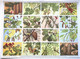 Delcampe - Pédagogie Ecole Images Botannique Végétaux 9 Planches Scolaires Arnaud Dechaux éditeur 1950 état Superbe - Material Und Zubehör