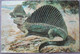 NEW YORK USA UNITED STATES DIMETRODON HISTORY MUSEUM GIANT XL CARTE POSTALE ANSICHTSKARTE CARTOLINA POSTCARD PC PC AK - Long Island