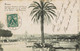 ROMA - Giardino Pubblico Del Pincio - VIAGGIATA 1903 - Rif. 1715 PI - Parques & Jardines