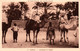 CPA - OUARGLA - Excursion Au Désert (soeurs Missionnaires De ND.d'Afrique) ... - Ouargla