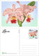 Liberia 2022 Stationery Cards MNH Orchids Set Of 4 Cards 100% Recycled Paper - Liberia