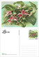 Delcampe - Liberia 2022 Stationery Cards MNH Orchids Set Of 4 Cards 100% Recycled Paper - Liberia
